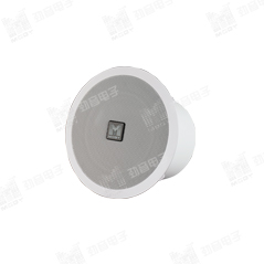 C-6 CEILING SPEAKER