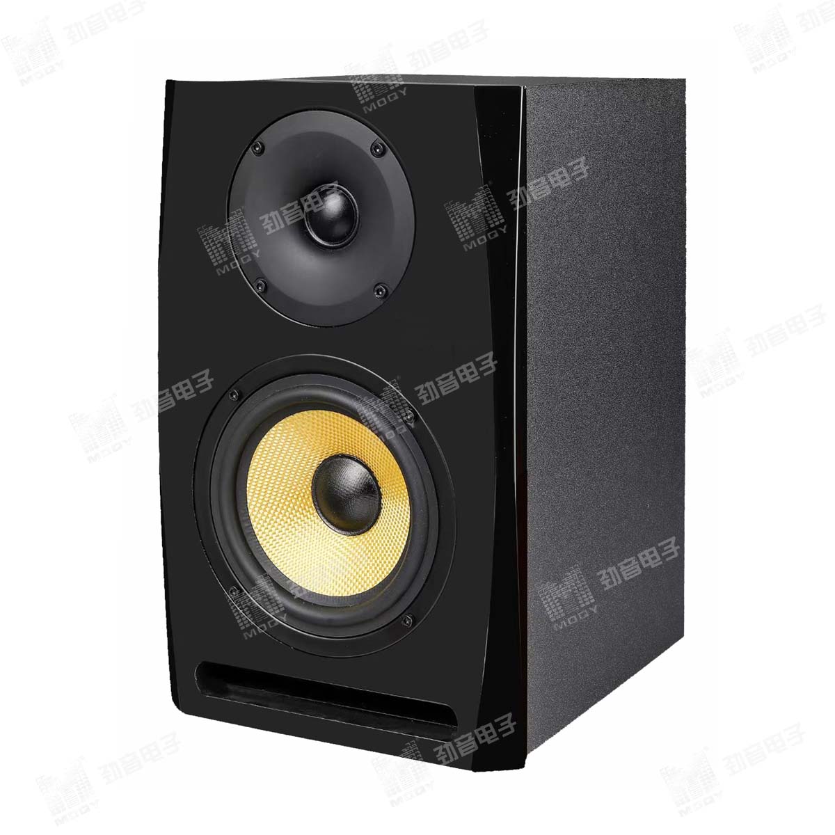 D-6 PROFESSIONAL ACTIVE MONITOR SYSTEM